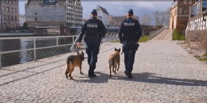 Policjanci w trakcie patrolu z psami służbowymi