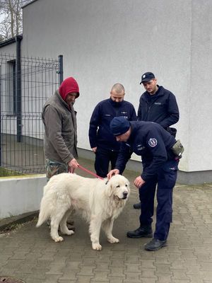 Pies i policjanci